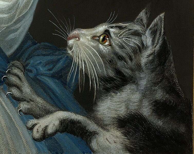 Ausschnitt aus Gemälde, der eine Katze zeigt.